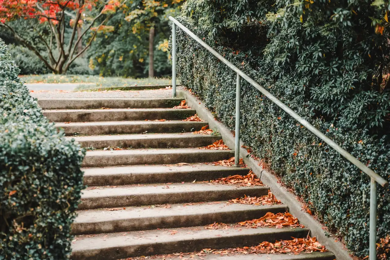 Weathered concrete steps with a metal handrail, covered in fallen autumn leaves beside a clipped hedge