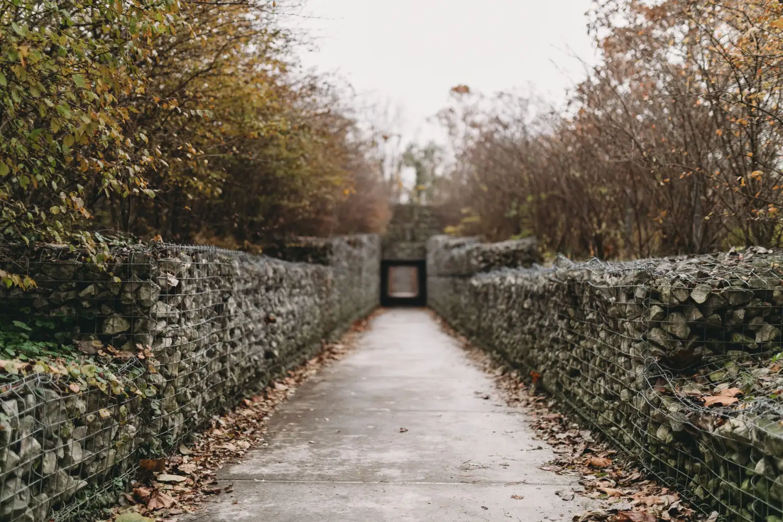Concrete walkway running between low stone walls under bare autumn trees
