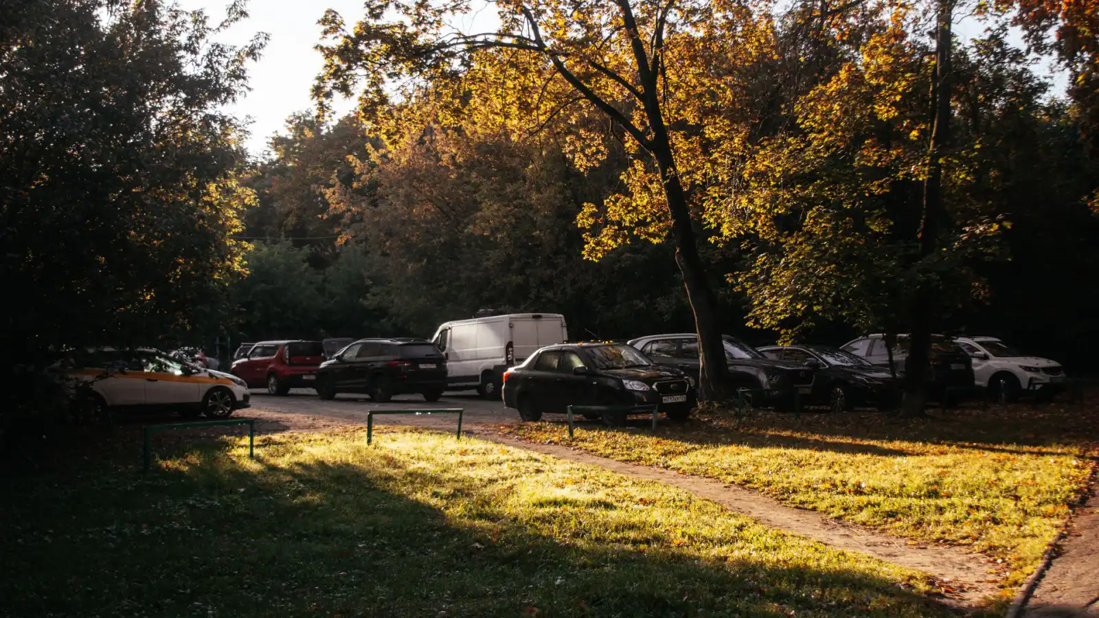 Parking lot bordered by autumn trees with sunlight falling across the paved surface